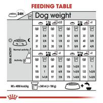 royal canin dermacomfort - ROYAL CANIN Mini Dermacomfort 1 kg - 4 nuotrauka