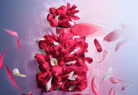 lancome la vie est belle - Lancome La Vie Est Belle Intensément EDP 100 ml. - 4 nuotrauka