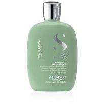 alfaparf semi di lino sampunas - AlfaParf Semi Di Lino Scalp Care Energizing šampūnas nuo plaukų slinkimo - 250 ml. - 1 nuotrauka