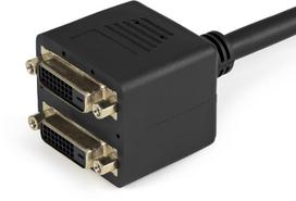 2x 3.5 - Adapteris StarTech DVI-D to 2x DVI-D DVISPL1DD, juoda, 0.3 m - 2 nuotrauka