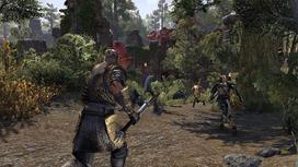 xbox aus - The Elder Scrolls Online: Morrowind XBOX ONE - 4 nuotrauka