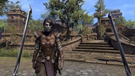 xbox aus - The Elder Scrolls Online: Morrowind XBOX ONE - 5 nuotrauka