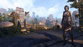 xbox aus - The Elder Scrolls Online: Morrowind XBOX ONE - 9 nuotrauka