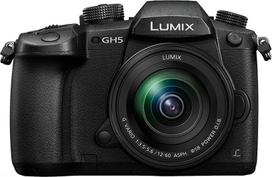 panasonic gh5 - Panasonic Lumix G DC-GH5 + Leica DG Vario-Elmarit 12-60mm f/2.8-4.0 - 1 nuotrauka