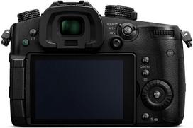 panasonic gh5 - Panasonic Lumix G DC-GH5 + Leica DG Vario-Elmarit 12-60mm f/2.8-4.0 - 2 nuotrauka