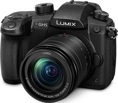 panasonic gh5 - Panasonic Lumix G DC-GH5 + Leica DG Vario-Elmarit 12-60mm f/2.8-4.0 - 3 nuotrauka