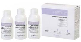 Fanola Fiber Fix plaukus atkuriantis rinkinys