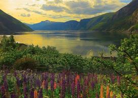 fjord - Dėlionė Ravensburger Scandinavian Places, 1000 vnt. - 2 nuotrauka