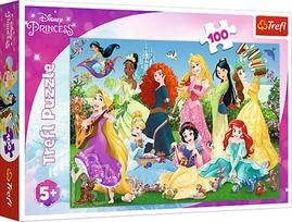 Dėlionė Trefl Disney Princess 16417, 100 vnt.