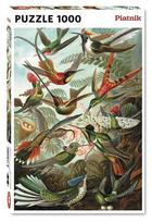 Piatnik Puzzle Humming Birds 1000pcs