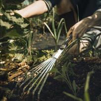 fiskar kauptukai - Vėduoklinis grėbliukas Fiskars Xact ™ - 3 nuotrauka