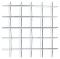cinkuota tvora - Cinkuotas suvirintas tinklas Garden Center 2.1 x 25.4 x 25.4 x 1000 mm, 25m - 2 nuotrauka