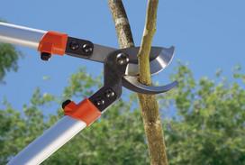 saku genejimo zirkles - GARDENA Premium šakų žirklės 700 B - 2 nuotrauka
