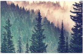 miskui lt - Ravensburger Puzzle Moment Forest 200pcs 12958 - 2 nuotrauka