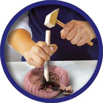 trust gxt - SES Creative Explore Excavate Fossils - 3 nuotrauka