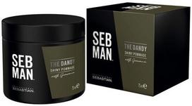 Sebastian Professional SEB MAN The Dandy Shiny plaukų pomada vyrams 75 ml.