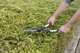 sodo zirkles gyvatvorei - Kreator Hedge Cutter KRTGR3011 - 3 nuotrauka