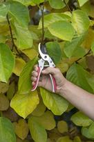 saku zirkles - Kreator Gardening Shears KRTGR1011 - 3 nuotrauka