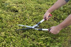 sodo zirkles gyvatvorei - Kreator Hedge Cutter KRTGR3021 - 3 nuotrauka