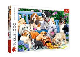 Dėlionė 1000dal. puppies, 10556t