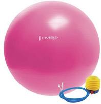 HMS Gym Ball YB01 55cm Pink