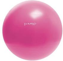 gym ball - HMS Gym Ball YB01 55cm Pink - 2 nuotrauka