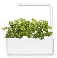 daigykla - Click & Grow Smart Home Coriander Refill 3-Pack - 4 nuotrauka