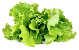 daigykla - Išmaniojo vazono sėklos Click & Grow, salotos - 3 nuotrauka