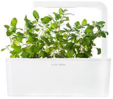 catnip - Click & Grow Smart Home Catnip Refill 3-Pack - 4 nuotrauka