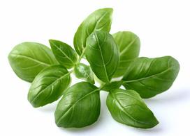 daigykla - Išmanios daigyklos sėklos Click & Grow Smart Home Basil Refill, 3 vnt. - 2 nuotrauka