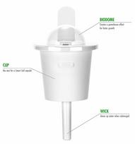 daigykla - Išmanios daigyklos sėklos Click & Grow Smart Home Basil Refill, 3 vnt. - 3 nuotrauka