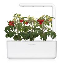 seklos pomidoru - Išmaniojo vazono sėklos Click & Grow, pomidorai - 3 nuotrauka