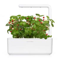 zemuogiu seklos - Išmanios daigyklos sėklos Click & Grow, žemuogės, 3 vnt. - 3 nuotrauka