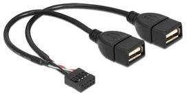 Delock Cable USB x 2 / Pin Header