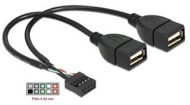 8pin - Delock Cable USB x 2 / Pin Header - 2 nuotrauka