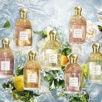 guerlain aqua allegoria - Tualetinis vanduo Guerlain Aqua Allegoria, 125 ml - 4 nuotrauka