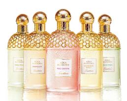 guerlain aqua allegoria - Tualetinis vanduo Guerlain Aqua Allegoria, 125 ml - 5 nuotrauka