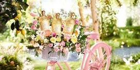 guerlain aqua allegoria - Tualetinis vanduo Guerlain Aqua Allegoria, 125 ml - 6 nuotrauka
