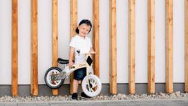 air bike - Lionelo Willy Balance Bike Indygo Blue - 11 nuotrauka