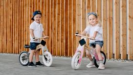 air bike - Lionelo Willy Balance Bike Indygo Blue - 13 nuotrauka