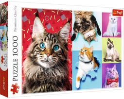 Dėlionė Trefl Happy Cats 10591, 1000 dalių