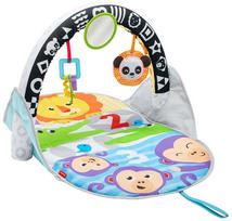 FISHER PRICE Veiklos kilimėlis "Supakuok ir neškis", FXC14 
