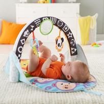 kilimelis fisher price - FISHER PRICE Veiklos kilimėlis "Supakuok ir neškis", FXC14  - 5 nuotrauka