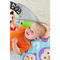 kilimelis fisher price - FISHER PRICE Veiklos kilimėlis "Supakuok ir neškis", FXC14  - 6 nuotrauka