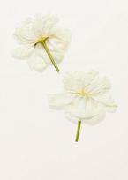 burberry moteriski kvepalai - Burberry Her Blossom 100ml EDT - 6 nuotrauka