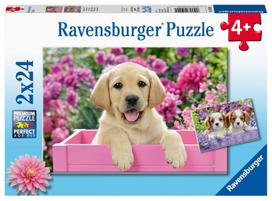 Ravensburger Puzzle Me And My Pal 2x24pcs 050291