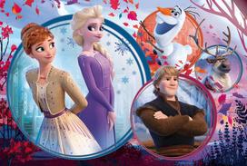 frozen puzzle - Trefl Puzzle Frozen II 160pcs 15374 - 2 nuotrauka