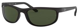 Ray-Ban RB2027 W1847