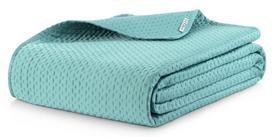 AmeliaHome Carmen Bedcover Pistachio 170x270