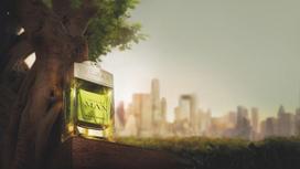 neroli kvepalai - Bvlgari Man Wood Neroli 60ml EDP - 4 nuotrauka